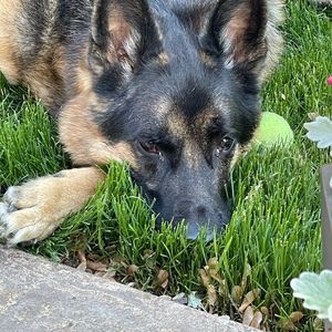 Meet your Posher, Wendy